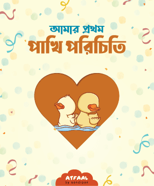 আমার প্রথম পাখি পরিচিতি